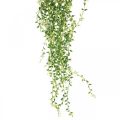 Floristik24 Planta colgante artificial suculenta verde 96cm