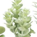 Floristik24 Suculentas Planta Verde Artificial Verde Surtido 9-18,5cm 4uds