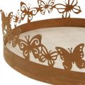 Floristik24 Bandeja con mariposas, primavera, decoraciones de mesa, decoración de metal patinado Ø20cm H6.5cm