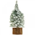 Floristik24 Árbol de Navidad decorativo, decoración de invierno, abeto con nieve Al. 19 cm