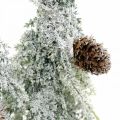 Floristik24 Abetos con nieve, decoración de Adviento, bosque de invierno L16.5cm H28cm