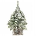 Floristik24 Árbol de Navidad con nieve, decoración navideña, abeto decorativo H14cm