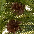 Guirnalda artificial de ramas de pino con piñas para decoración de Adviento, 218 cm. | Floristik24.es