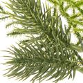 Rama de abeto artificial para decoración festiva, 22 cm, 2 unidades | Floristik24.es