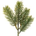Floristik24 Rama artificial de abeto verde para decoración invernal, 25 cm, 24 unidades.