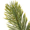 Rama artificial de abeto verde para decoración invernal, 25 cm, 24 unidades. | Floristik24.es