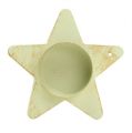 Floristik24 Portavelas estrella para pegar crema 9x23.5cm 1p