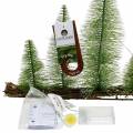Floristik24 Decoración de mesa bosque de invierno con LED verde 100cm 60L