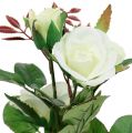 Floristik24 Decoración de mesa Rose en la maceta blanca 24cm