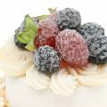 Floristik24 Tartaletas decorativas blackberry food imitación 7cm