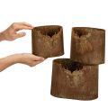 Juego de 3 macetas ovaladas de