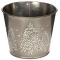 Floristik24 Maceta metálica con abetos brillantes, 13 cm