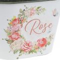 Floristik24 Jardinera, macetero decorativo de rosas, florero L19cm H12.5cm