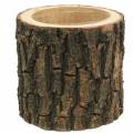 Floristik24 Macetero madera de olmo Ø16-18cm H15cm