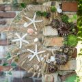 Floristik24 Guirnalda de madera flotante conchas estrella de mar decoración marítima 100cm
