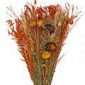 Floristik24 Ramo de flores secas naranja mezcla 42cm