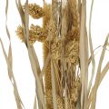 Hierbas secas y cereales naturales en manojo ramo seco 48cm