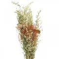 Ramo de flores secas cereales y amapolas decoración seca 60cm 100g