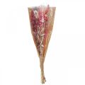 Floristik24 Ramo de flores secas rosa blanco phalaris masterwort 80cm 160g