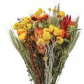 Floristik24 Ramo de flores secas Ramo de flores de pradera Naranja H50cm 300g