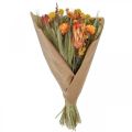 Floristik24 Ramo de flores secas Ramo de flores de pradera Naranja H50cm 300g