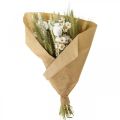 Floristik24 Ramo de flores secas flores de paja grano amapola cápsula hierba seca 50cm
