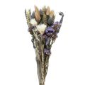 Floristik24 Ramo de flores secas flores de paja playa lila violeta 30cm