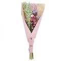 Floristik24 Ramo de flores secas flores de paja playa lila rosa 58cm