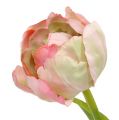 Floristik24 Tulipán rosa, verde 37cm 6pcs