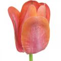 Floristik24 Tulipán flor artificial rojo, naranja Flor de primavera artificial H67cm