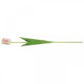 Floristik24 Tulipán flor de tallo rosa artificial Al. 67 cm