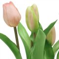 Floristik24 Tulipán rosa, verde en maceta Planta artificial en maceta tulipán decorativo H23cm