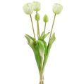 Floristik24 Tulipanes Crema Real-Touch Decoración Floral L43,5cm 5pcs