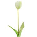Floristik24 Tulipanes Crema Real-Touch Decoración Floral L43,5cm 5pcs