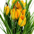 Floristik24 Tulipanes en maceta amarilla 30cm