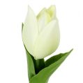 Floristik24 Decoración de primavera, tulipanes artificiales, flores de seda, tulipanes decorativos verde/crema 12 piezas
