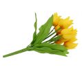 Floristik24 Arbusto de tulipanes Amarillo H30cm