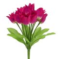 Floristik24 Arbusto de tulipanes rosa L 30cm