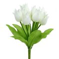 Floristik24 Arbusto de tulipán blanco 30cm