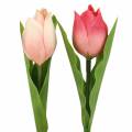 Floristik24 Tulip mix flores artificiales rosa albaricoque 16cm 12pcs