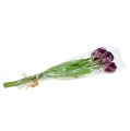 Floristik24 Ramo de tulipanes 43cm violeta