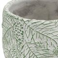 Floristik24 Jardinera cerámica verde blanco gris ramas abeto Ø13.5cm H13.5cm