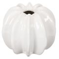 Floristik24 Jarrón de cerámica con forma de calabaza, blanco, decoración para el hogar, 15 cm.
