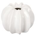 Floristik24 Jarrón decorativo con forma de calabaza, brillante, decoración otoñal para salón, 19 cm.
