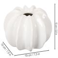 Jarrón decorativo con forma de calabaza, brillante, decoración otoñal para salón, 19 cm. | Floristik24.es