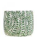 Floristik24 Maceta de cerámica con zarcillos de hojas, jardinera, jardinera Ø18cm H14.5cm