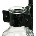 Floristik24 Jarrón decorativo botella decorativa de cristal con soporte de metal negro Ø13cm