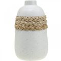 Floristik24 Florero de cerámica blanca y jarrón de algas marinas decoración de verano H17.5cm