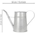 Regadera decorativa galvanizada, de metal, gris, estilo vintage, 1,7 L, 23 cm de alto, para decoraciones florales y macetas con estilo. | Floristik24.es