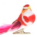 Floristik24 Pájaro en clip rosa, rosa 15cm 12uds